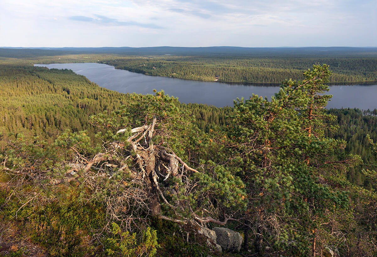"A View from Fell Pyhävaara Over Lake Pyhäjärvi. photo Mika Honkalinna"