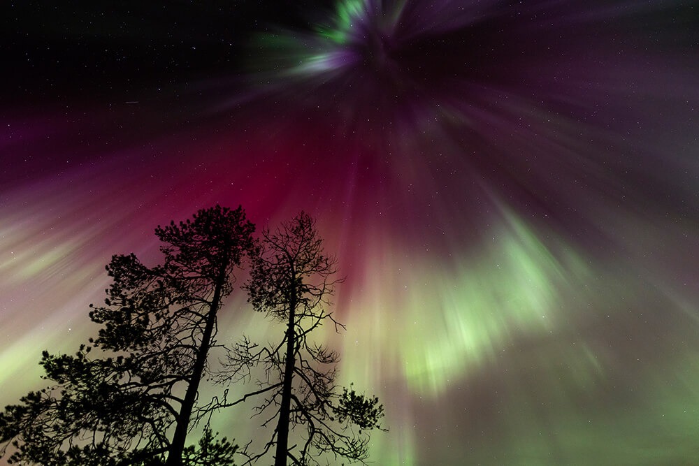 Auroras over a swamp in northern Finland. Photo Mika Honkalinna.
